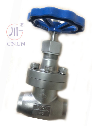 CNLN/Arman DJ61F-40P SS304/316 Криогенный шаровой клапан короткого ствола типа A ((DN10-100 мм) для систем LNG/LOX/LN2