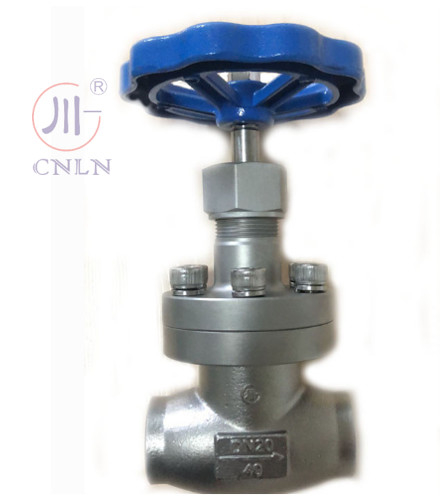 CNLN/Arman DJ61F-40P SS304/316 Криогенный шаровой клапан короткого ствола типа A ((DN10-100 мм) для систем LNG/LOX/LN2