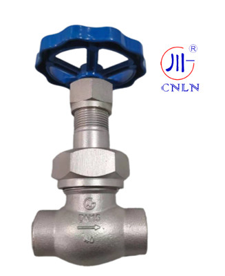 CNLN/Arman DJ61F-40P SS304/316 Криогенный шаровой клапан короткого ствола типа C ((DN10-50 мм) для систем LNG/LOX/LN2