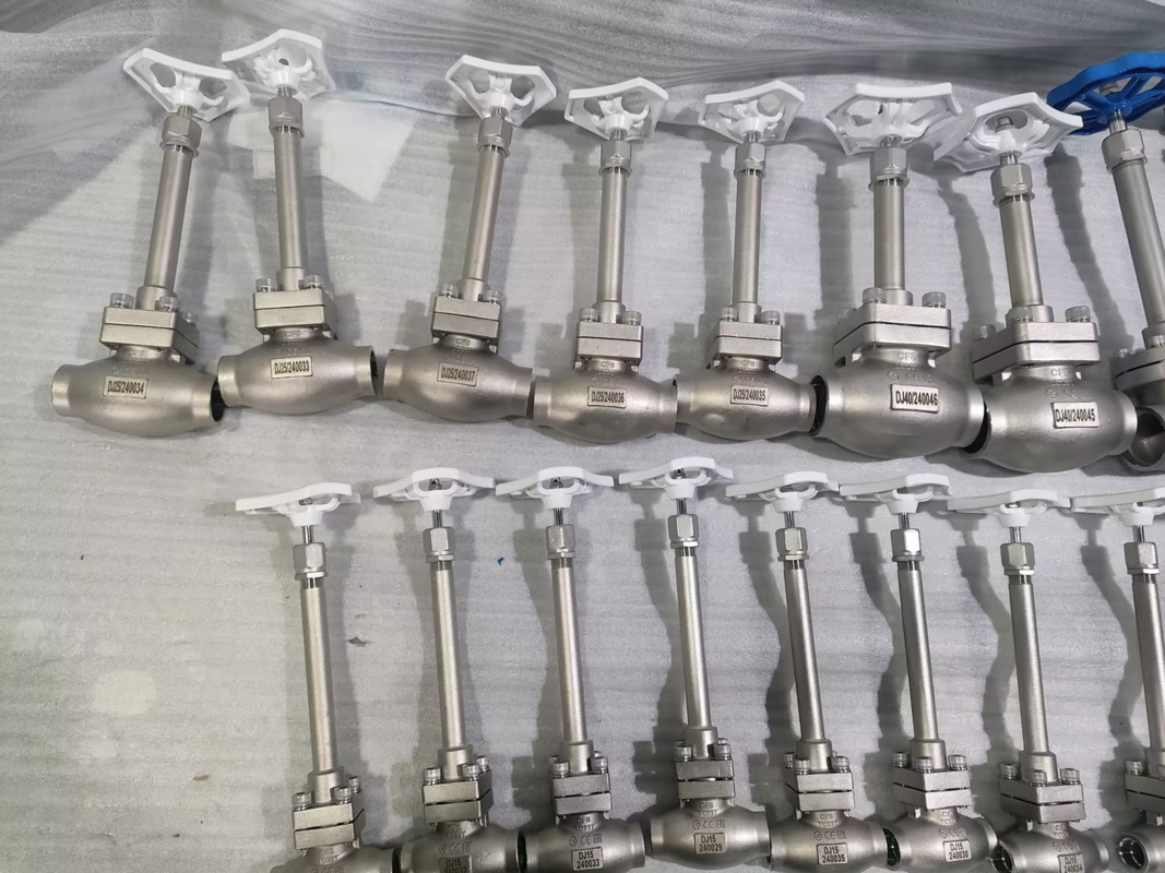 Криогенный шаровой клапан DN25 из нержавеющей стали 304/316 с уплотнением из PTFE и корпусом клапана CF8/CF3 для применения при температурах от -196°C до +80°C