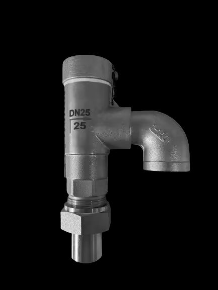 Класс давления криогенного предохранительного клапана из нержавеющей стали для применений от -196°C до +120°C